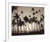 Platinum Palms I-Michael Neubauer-Framed Giclee Print