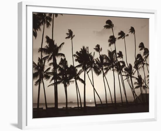 Platinum Palms I-Michael Neubauer-Framed Giclee Print