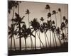 Platinum Palms I-Michael Neubauer-Mounted Giclee Print