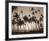 Platinum Palms I-Michael Neubauer-Framed Giclee Print