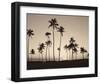 Platinum Palms II-Michael Neubauer-Framed Giclee Print