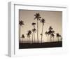 Platinum Palms II-Michael Neubauer-Framed Giclee Print