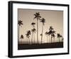 Platinum Palms II-Michael Neubauer-Framed Giclee Print