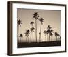 Platinum Palms II-Michael Neubauer-Framed Giclee Print