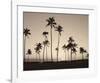 Platinum Palms II-Michael Neubauer-Framed Giclee Print