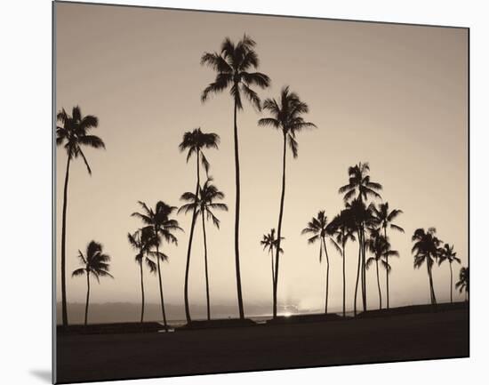 Platinum Palms II-Michael Neubauer-Mounted Giclee Print