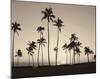 Platinum Palms II-Michael Neubauer-Mounted Giclee Print