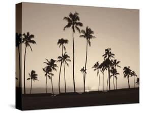 Platinum Palms II-Michael Neubauer-Stretched Canvas