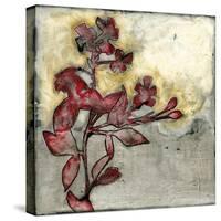 Platinum Silhouette II-Jennifer Goldberger-Stretched Canvas