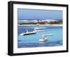 Platja Illetas, Formentera, Balearic Islands, Spain, Mediterranean-Hans Peter Merten-Framed Photographic Print