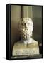 Plato, Ancient Greek Philosopher-null-Framed Stretched Canvas