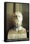 Plato, Ancient Greek Philosopher-null-Framed Stretched Canvas