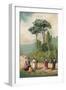 Plato and His Disciples in the Gardens of the Academia-Ricardo Marti-Framed Premium Giclee Print