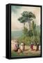 Plato and His Disciples in the Gardens of the Academia-Ricardo Marti-Framed Stretched Canvas