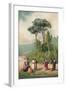 Plato and His Disciples in the Gardens of the Academia-Ricardo Marti-Framed Giclee Print