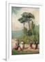 Plato and His Disciples in the Gardens of the Academia-Ricardo Marti-Framed Giclee Print