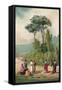 Plato and His Disciples in the Gardens of the Academia-Ricardo Marti-Framed Stretched Canvas