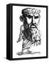 Plato, Caricature-Gary Gastrolab-Framed Stretched Canvas