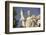 Plato Statue outside the Hellenic Academy-Jon Hicks-Framed Photographic Print