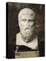 Platon, philosophe grec (vers 428-vers 348 avant J. C.)-null-Stretched Canvas