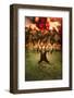 Platoon [1986], directed by OLIVER STONE.-null-Framed Photographic Print