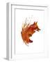 Plattensee Fox-Robert Farkas-Framed Giclee Print