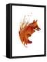 Plattensee Fox-Robert Farkas-Framed Stretched Canvas