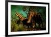 Platybelodon Was a Large Herbivorous Mammal That Lived During the Miocene Epoch-null-Framed Art Print