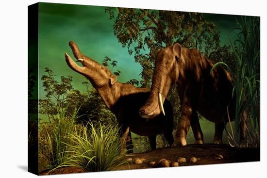 Platybelodon Was a Large Herbivorous Mammal That Lived During the Miocene Epoch-null-Stretched Canvas