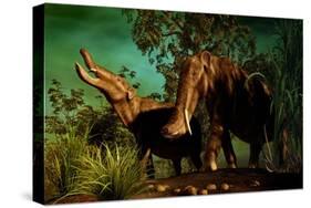 Platybelodon Was a Large Herbivorous Mammal That Lived During the Miocene Epoch-null-Stretched Canvas