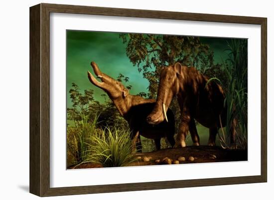 Platybelodon Was a Large Herbivorous Mammal That Lived During the Miocene Epoch-null-Framed Art Print