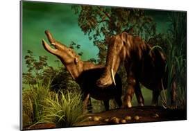 Platybelodon Was a Large Herbivorous Mammal That Lived During the Miocene Epoch-null-Mounted Art Print
