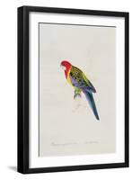 Platycercus Eximius (Vig. Et Horsf.), c.1831-Edward Lear-Framed Giclee Print