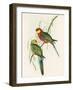 Platycercus Icterotis-Aaron Ashley-Framed Art Print