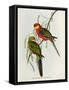 Platycercus Icterotis-John Gould-Framed Stretched Canvas