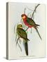 Platycercus Icterotis-John Gould-Stretched Canvas