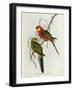 Platycercus Icterotis-John Gould-Framed Premium Giclee Print