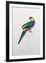 Platycercus Pileatus, Vig., C.1831-Edward Lear-Framed Giclee Print