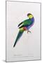 Platycercus Pileatus, Vig., C.1831-Edward Lear-Mounted Giclee Print