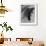 Platypus-null-Framed Photographic Print displayed on a wall