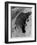 Platypus-null-Framed Photographic Print