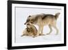 Play Date-Lisa Dearing-Framed Photographic Print