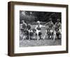 Play Time at the "Secours National" Supervisors" School-null-Framed Photographic Print