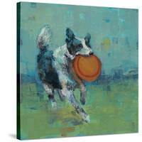 Play Time I-Stacy D'Aguiar-Stretched Canvas