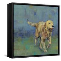 Play Time II-Stacy D'Aguiar-Framed Stretched Canvas