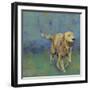 Play Time II-Stacy D'Aguiar-Framed Art Print