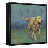 Play Time II-Stacy D'Aguiar-Framed Stretched Canvas