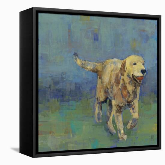 Play Time II-Stacy D'Aguiar-Framed Stretched Canvas
