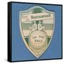 Play Up Bournemouth', Baines' Card in the Shape of a Shield and Two Footballers Sitting on Top of…-null-Framed Stretched Canvas