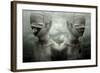 Play with death-Johan Lilja-Framed Giclee Print